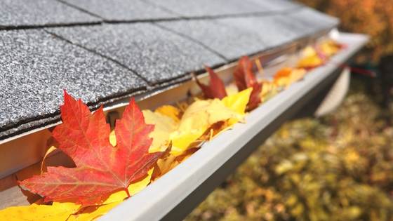 It's easy to forget about maintaining your gutters. But neglecting them can lead to some serious headaches.